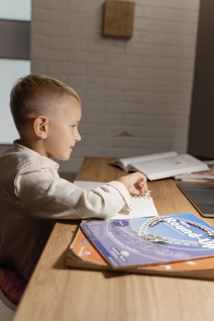 contact-img Side view of a young boy studying at home with books on a desk in natural daylight.